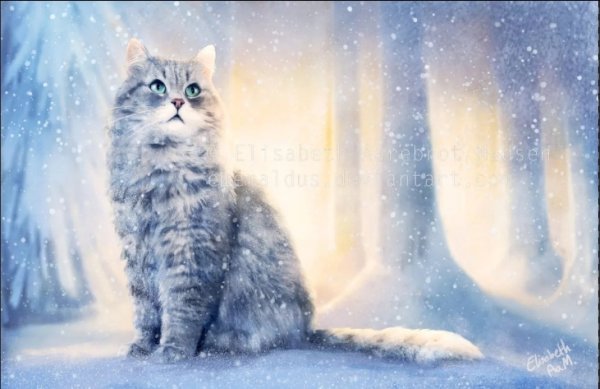 Кот в снегу арт
