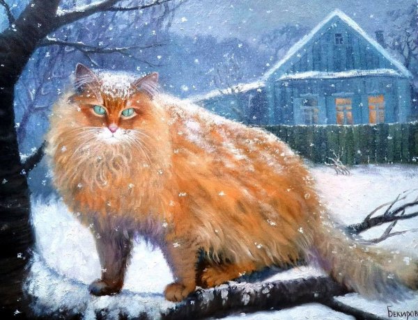 Живопись кошки зимой