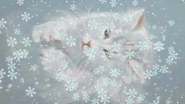 Кот и снежинки