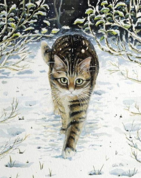 Селия Пайк картины