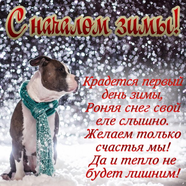 Поздравление с первым днем зимы