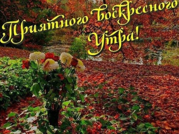 Сдобрым осеннтм утром воскресенье