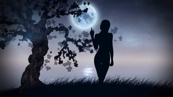 Силуэт девушки на Луне