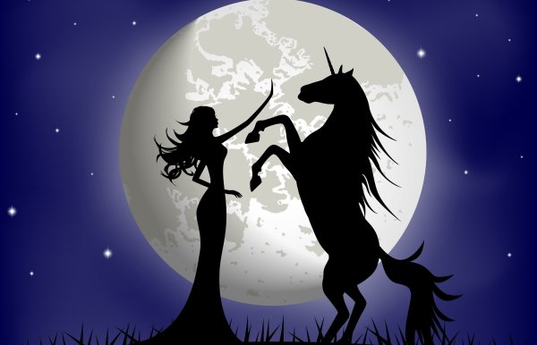 Силуэт на фоне Луны