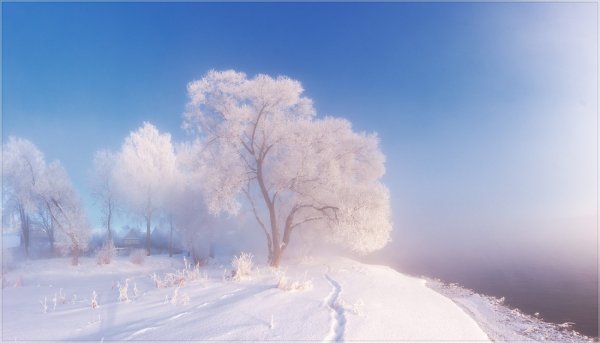 Снежное утро