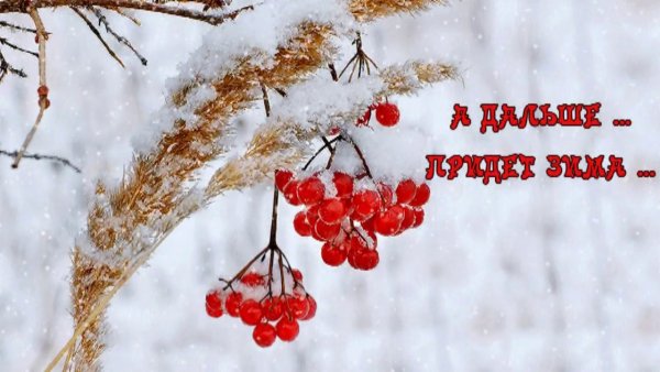 Ноябрь скоро зима