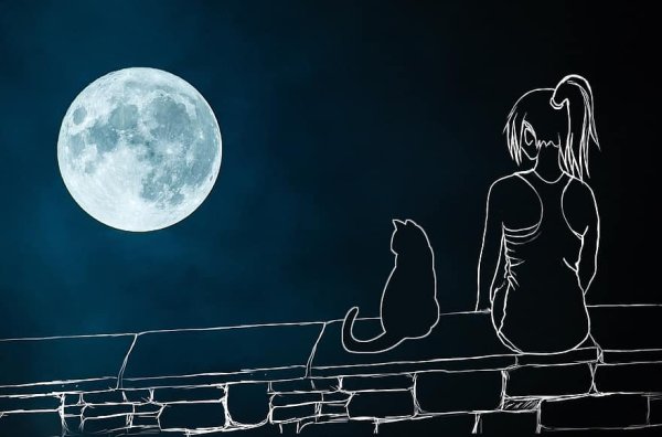 Луна девушка кошка