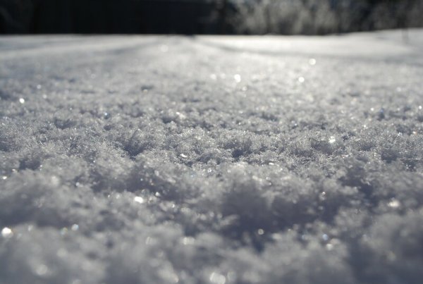 Снег белее молока