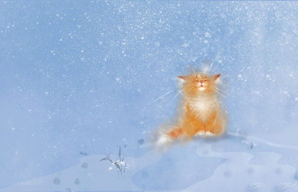 Кот ловит снежинки