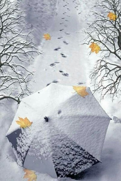 Доброе дождливо Снежное утро