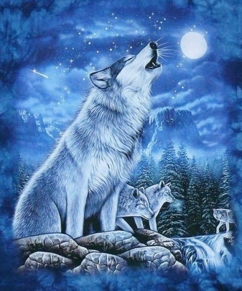 Картина воющий волк