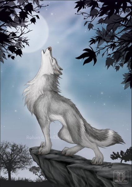 Волки для ролки