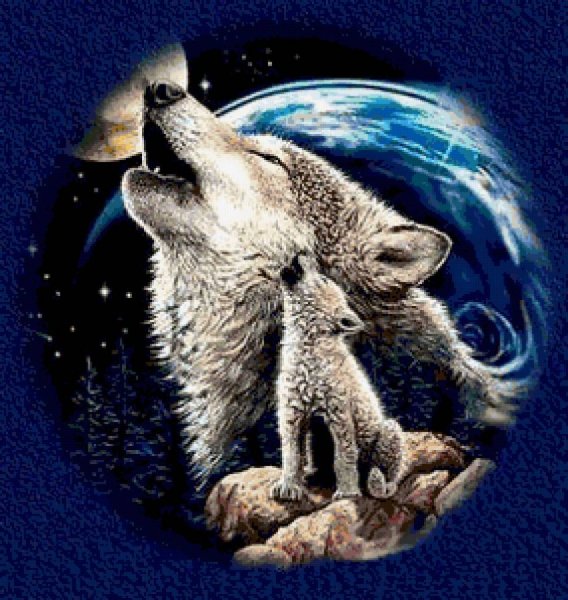 Спокойной ночи от волка