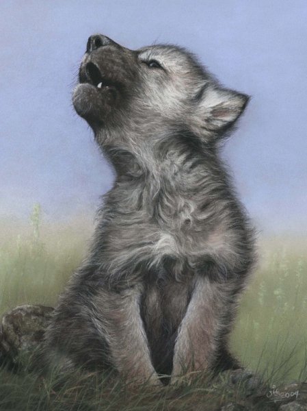 Ульяна волк