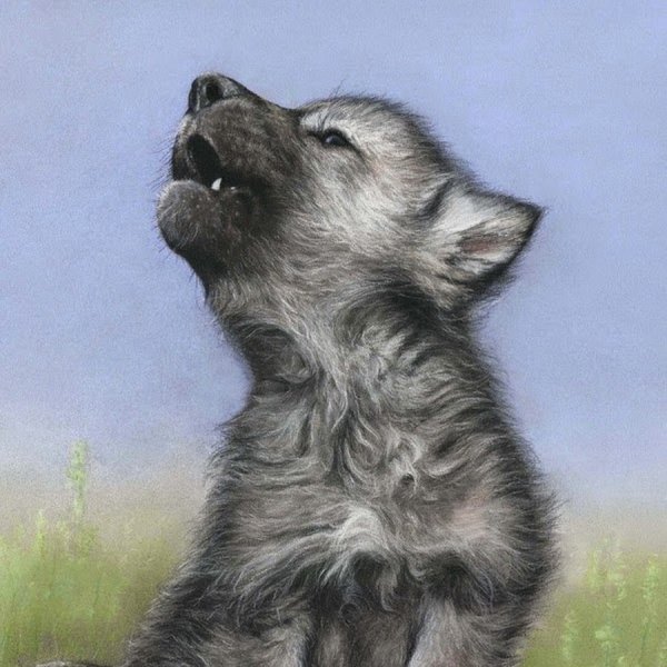 Картина Волчонок