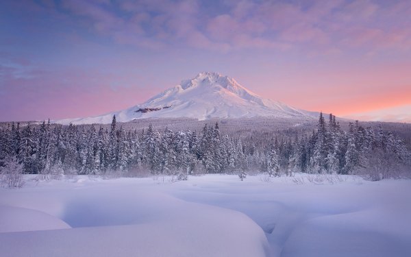 Снежная Долина Камчатка