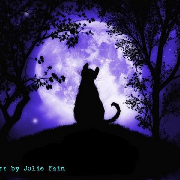 Кошка на фоне Луны