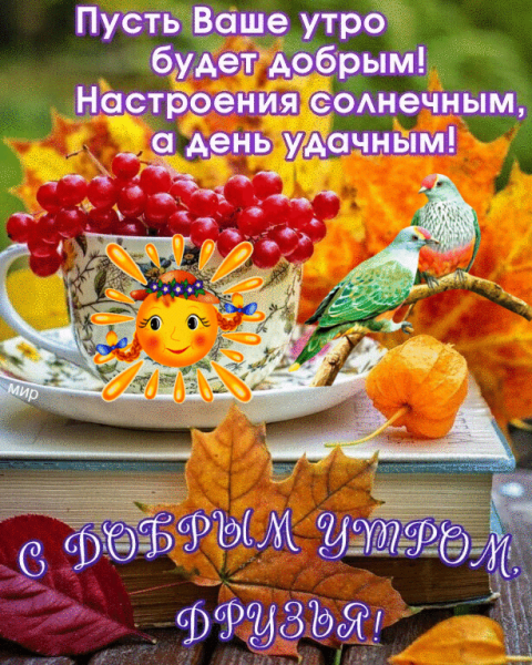 Доброе осеннее утро с пожеланиями здоровья