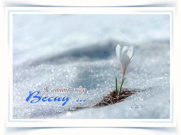 Чуть чуть и Весна