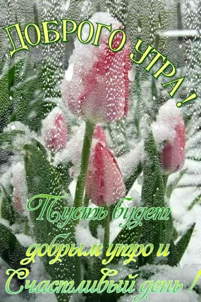 Доброе утро зимняя Весна