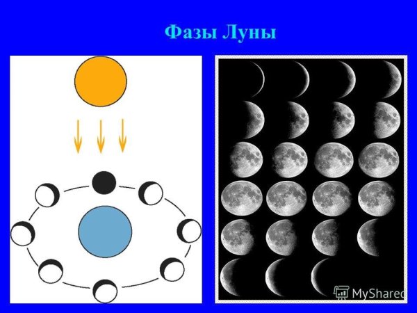 Лунные фазы рисунок