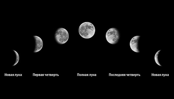 Фаза Луны первая четверть