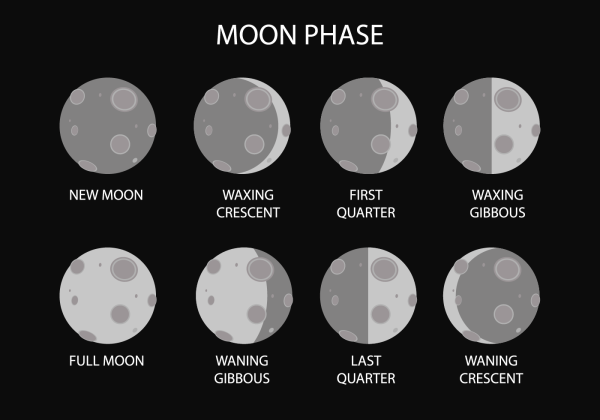 Moon Stages