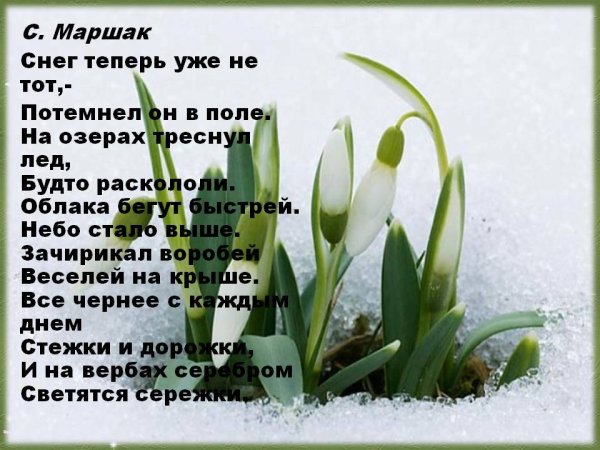 Снег уже теперь не тот Маршак