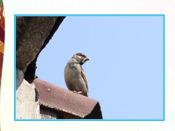 Картинка с Маршак снег теперь не тот