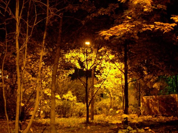 Красивая осенняя ночь