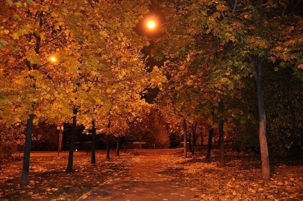 Осенняя ночь