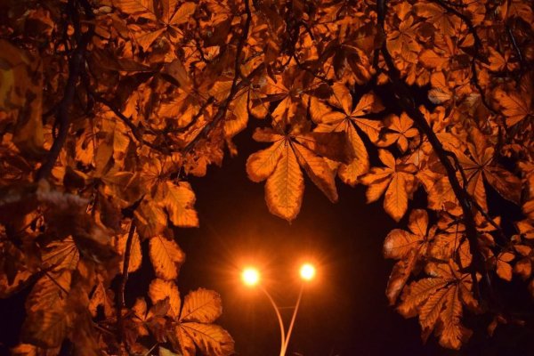 Осенняя ночь