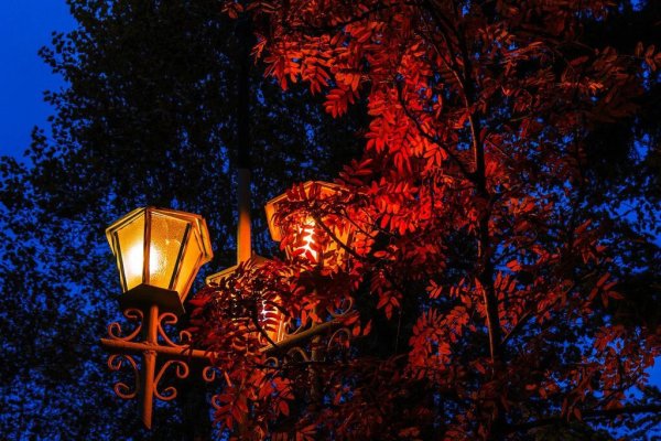 Осенняя ночь