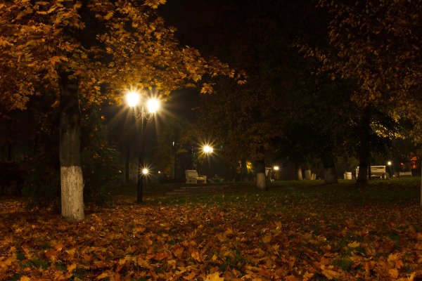 Ночь осенью