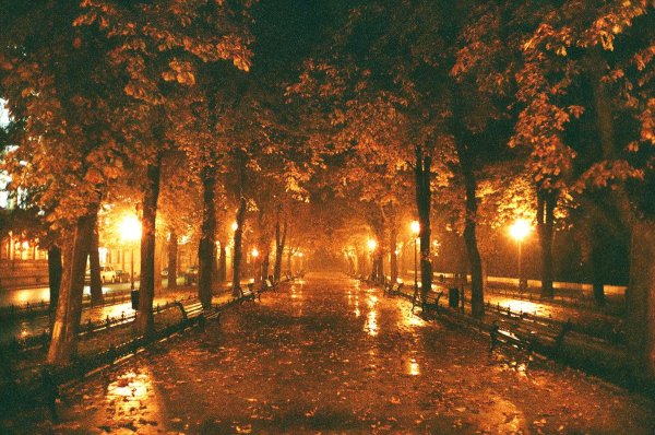 Осенний вечер в городе