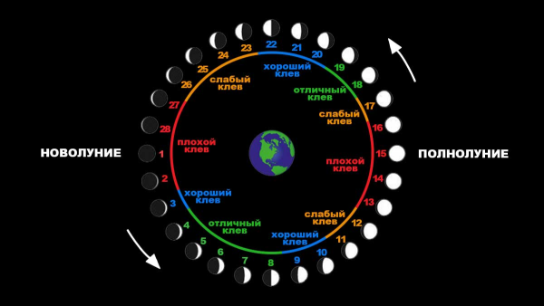 Влияние лунных фаз на клев