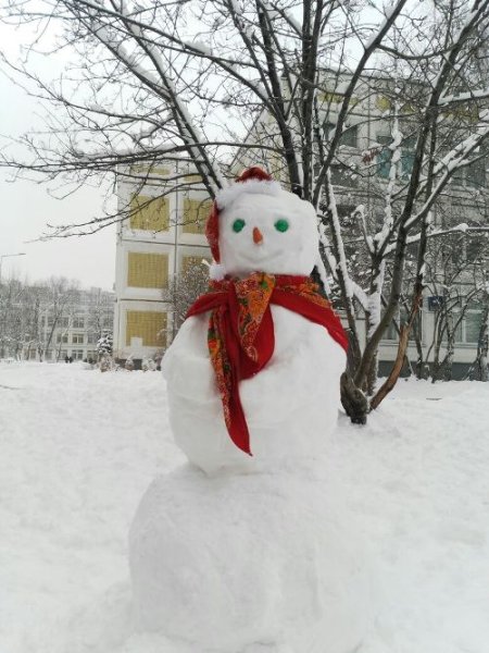 Новогодняя Снежная баба