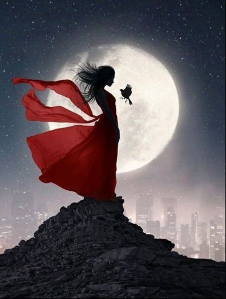 День выпускания птиц души 14 декабря