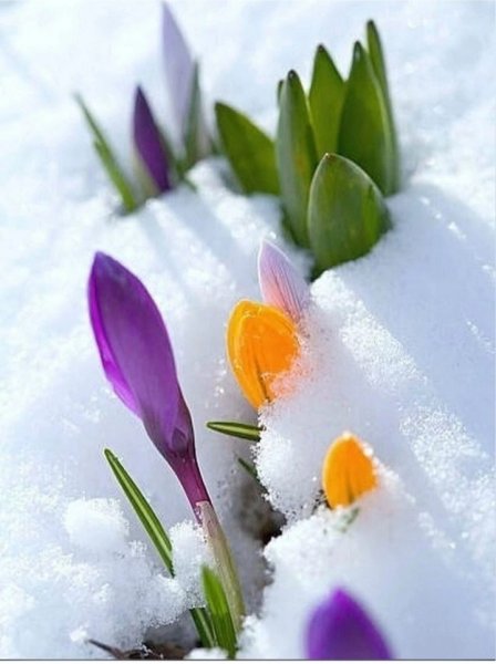 1 Марта Весна