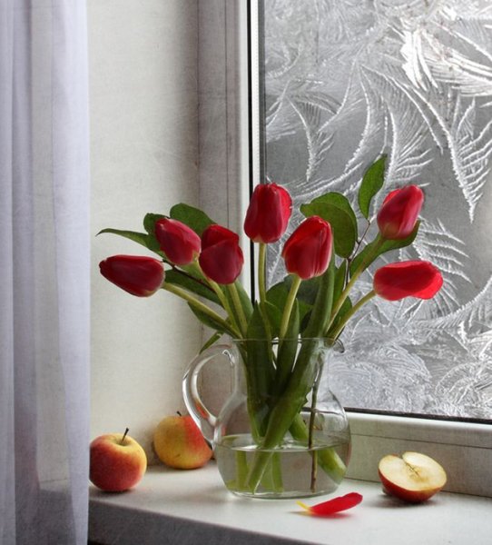 Весенние цветы на окне