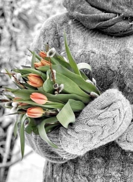 Зимний букет с тюльпанами