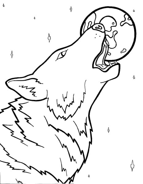 Раскраска волк воет