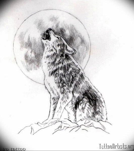 Раскраска Волк воет на луну