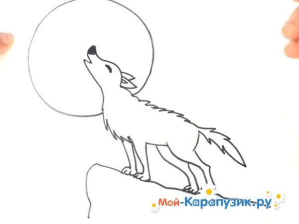 Волк воет раскраска для детей