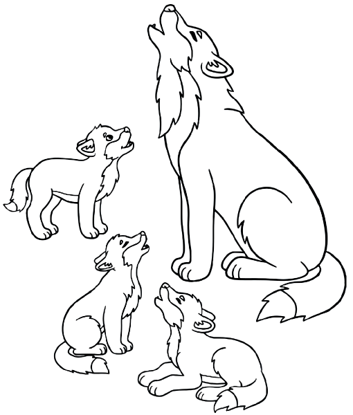 Волчонок раскраска для детей