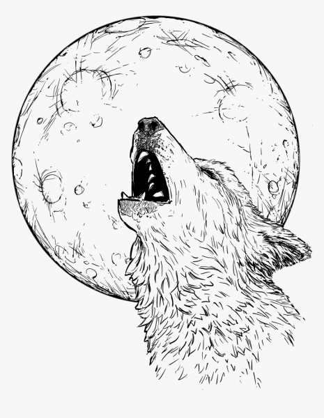 Волк и Луна