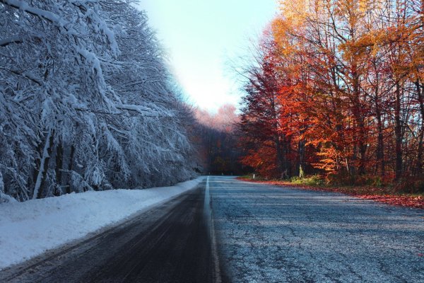 Поздняя осень