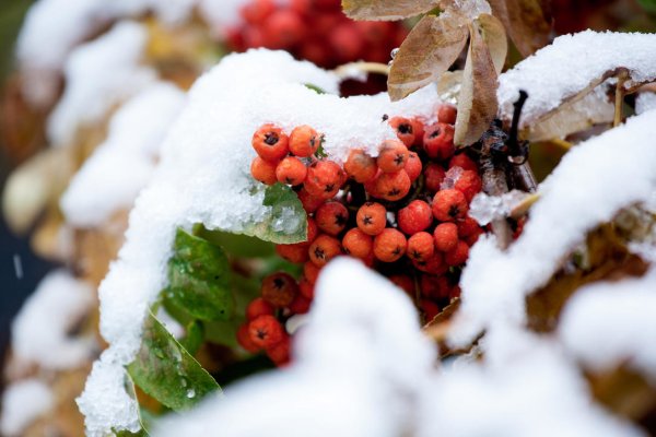 Красивая осень снег