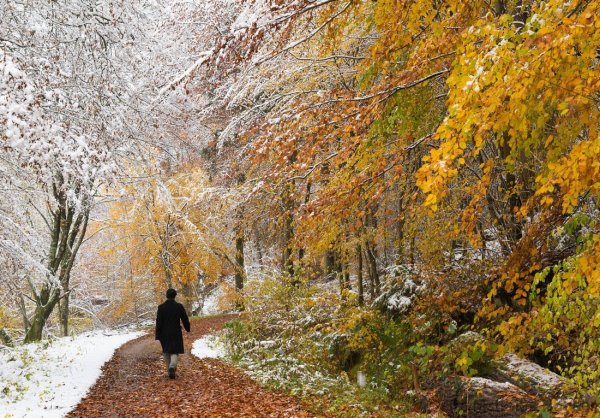 Встреча осени и зимы