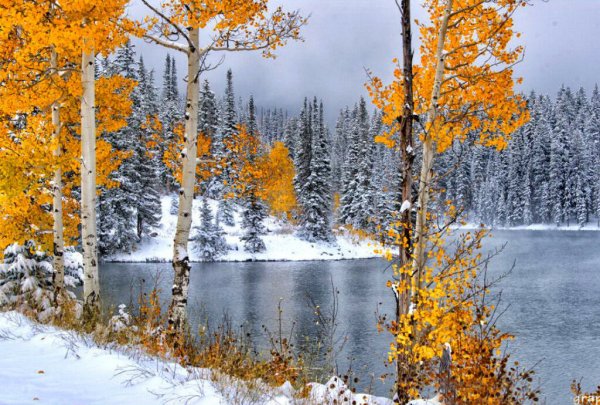 Золотая осень снег